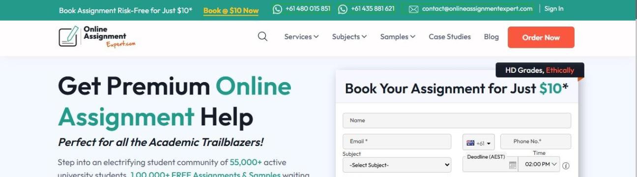 Online Assignment Expert